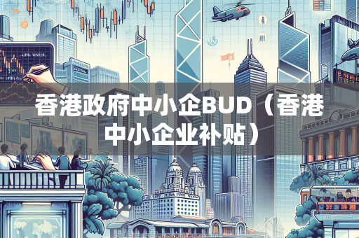 香港政府中小企BUD（香港中小企业补贴）